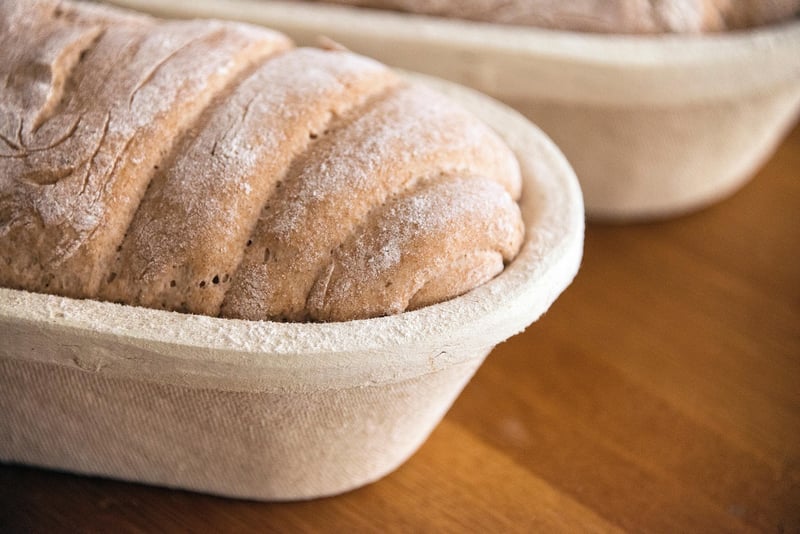 Quinoa Grains